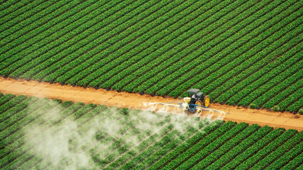Best Commercial Pest Control Services  in East Kapolei, HI